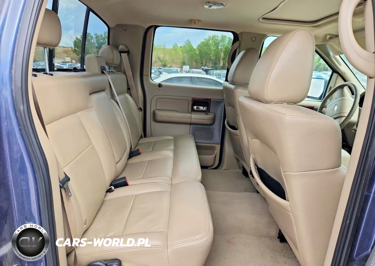 2005 Ford F150 Supercrew VIN:1FTPW14555KF12289 - 10