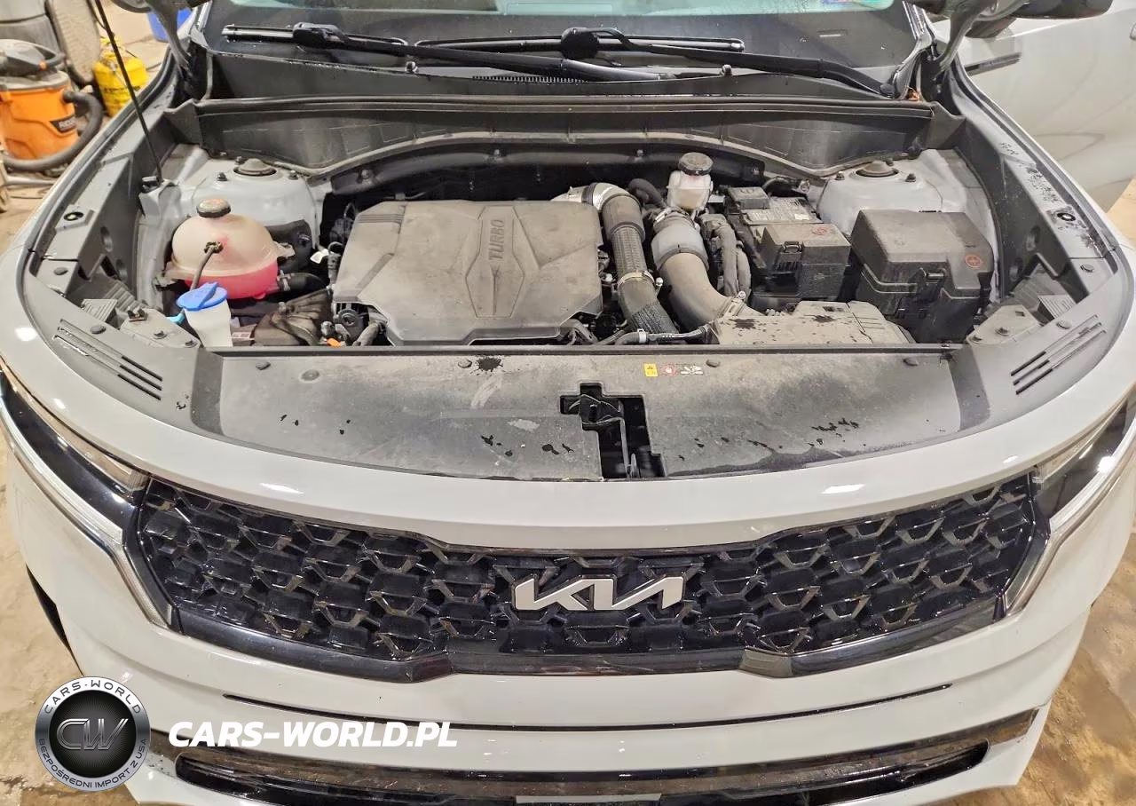 2023 Kia Sorento Sx VIN:5XYRKDLF3PG186856 - 12