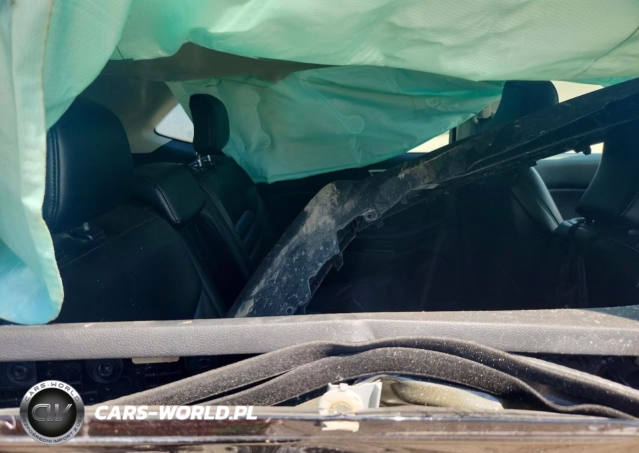 FORD EDGE SEL VIN:2FMPK4J96PBA31528 - 10
