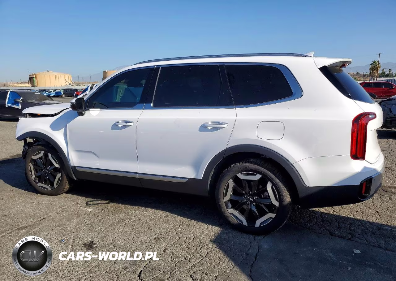 2024 Kia Telluride S VIN:5XYP64GC5RG501879 - 2