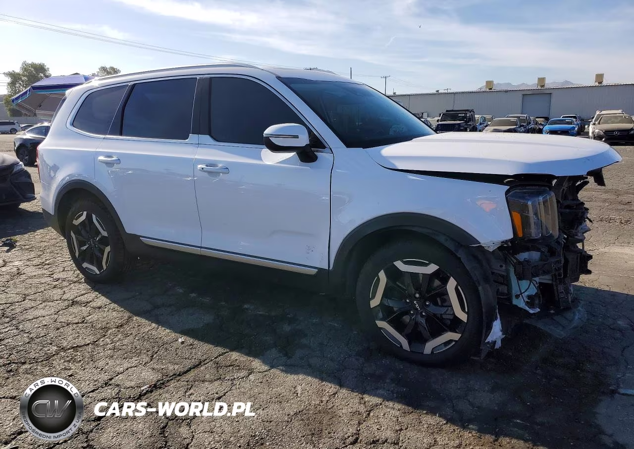 2024 Kia Telluride S VIN:5XYP64GC5RG501879 - 4