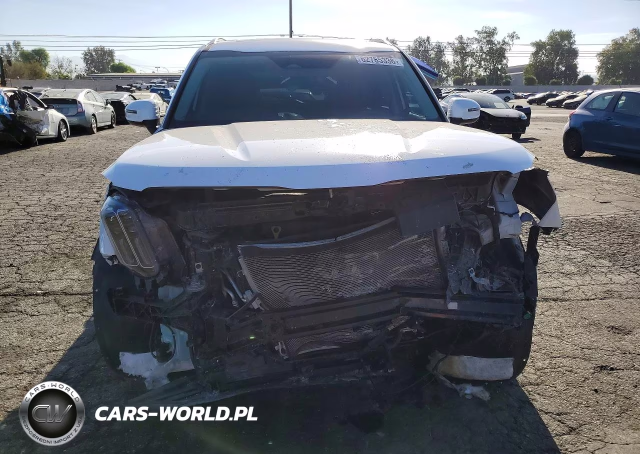 2024 Kia Telluride S VIN:5XYP64GC5RG501879 - 5