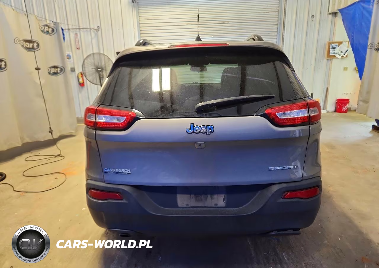 2016 Jeep Cherokee Sport VIN:1C4PJLAB6GW376285 - 6