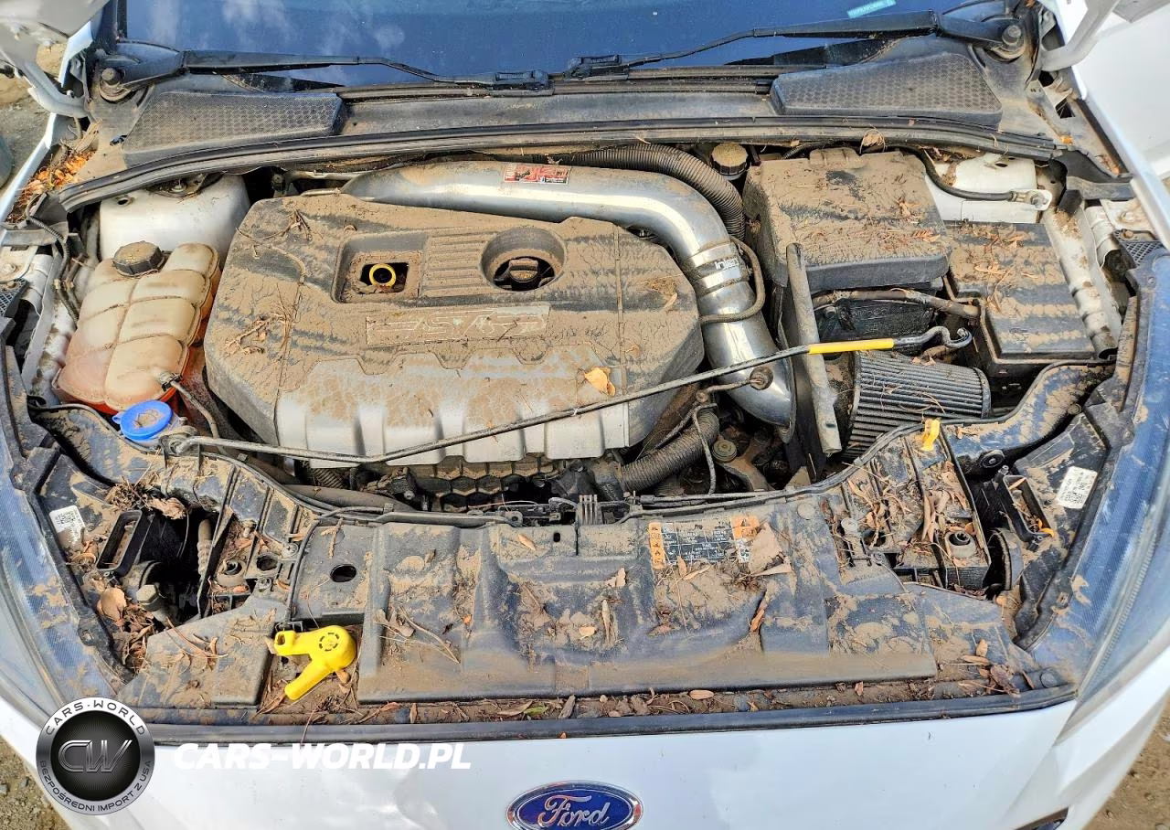 2015 Ford Focus St VIN:1FADP3L99FL366500 - 11