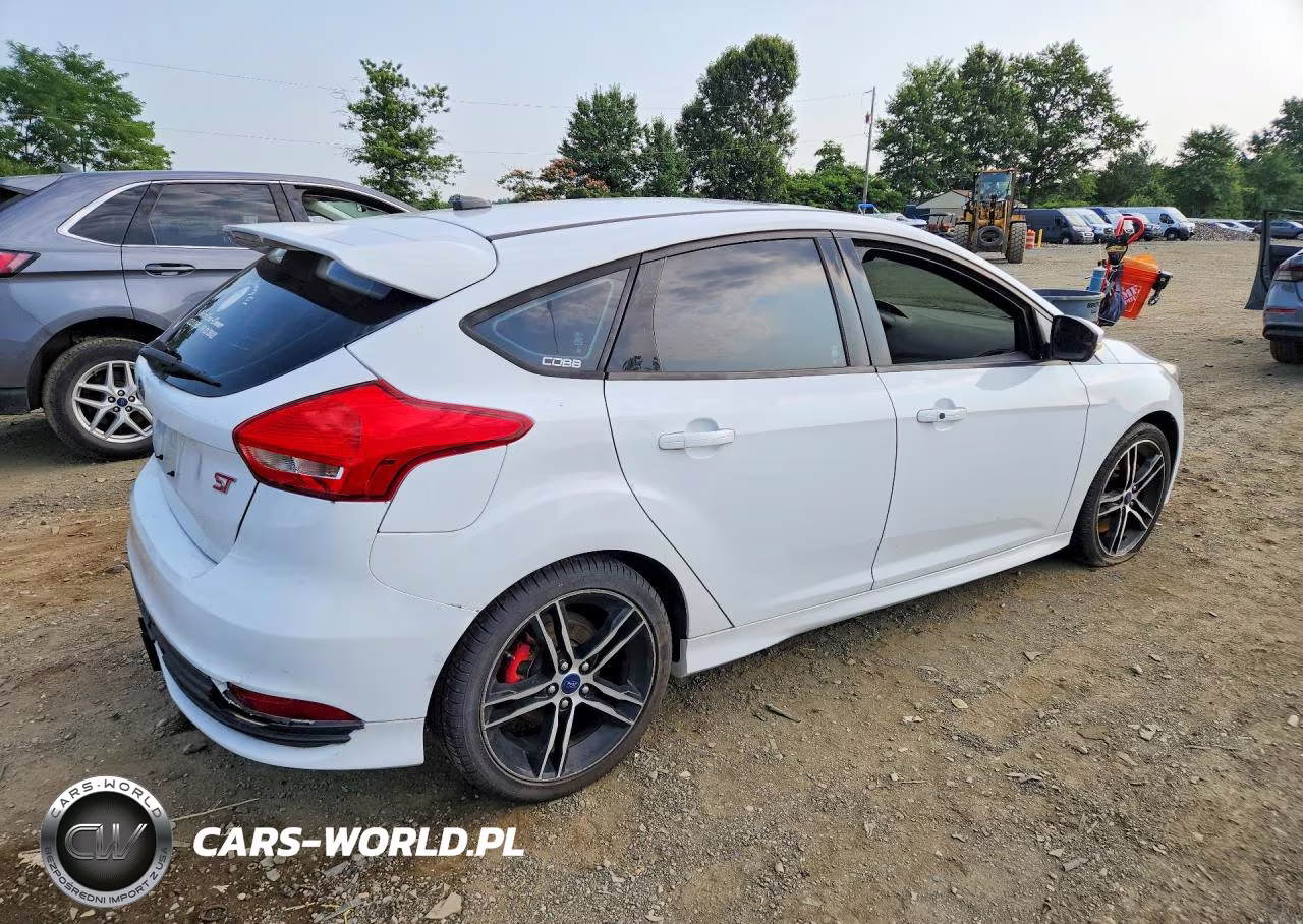 2015 Ford Focus St VIN:1FADP3L99FL366500 - 3