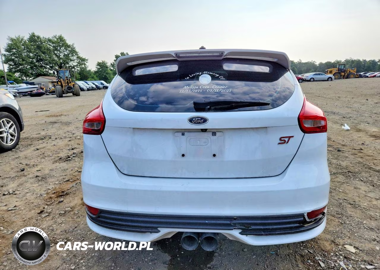 2015 Ford Focus St VIN:1FADP3L99FL366500 - 6