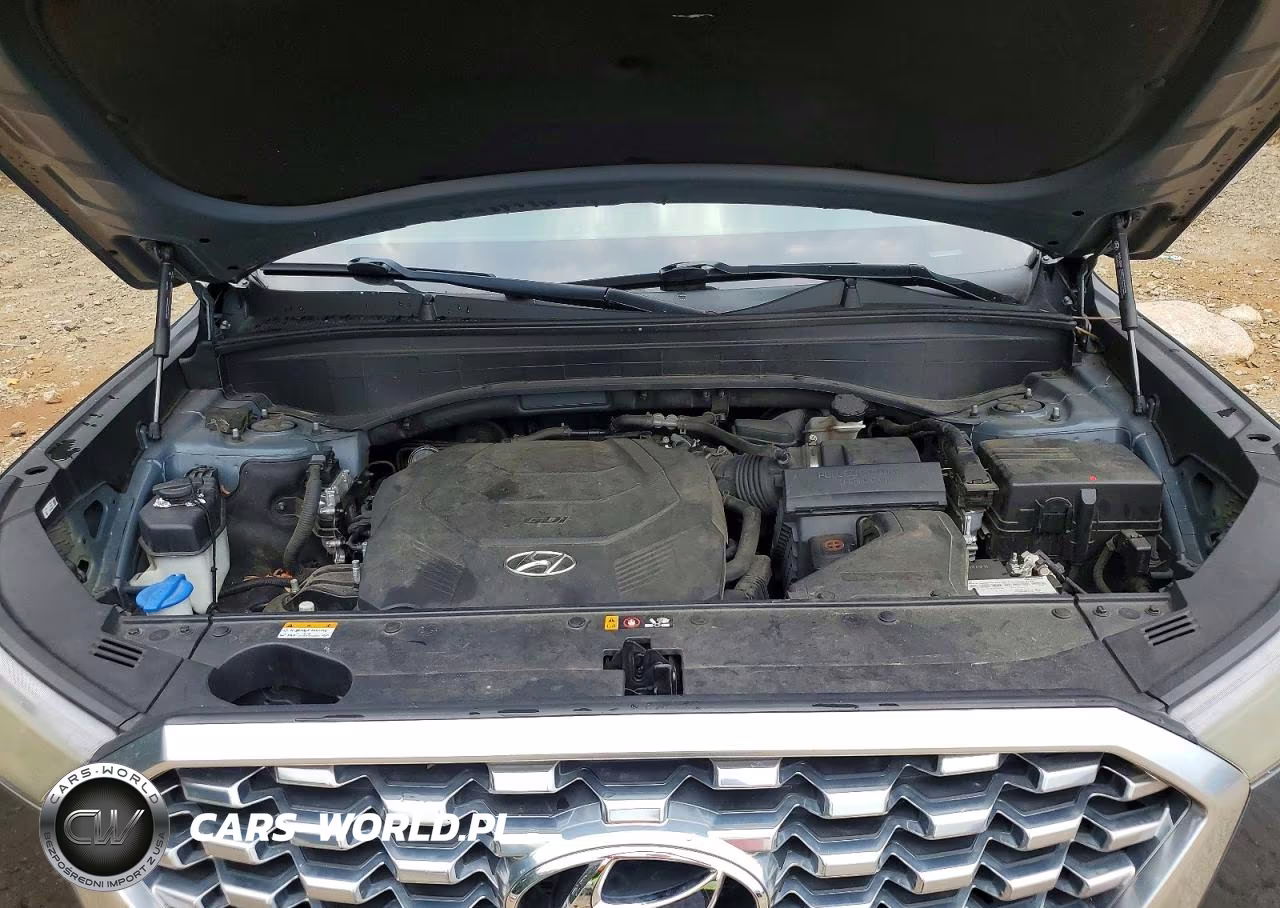 2020 Hyundai Palisade Sel VIN:KM8R44HE8LU062998 - 12