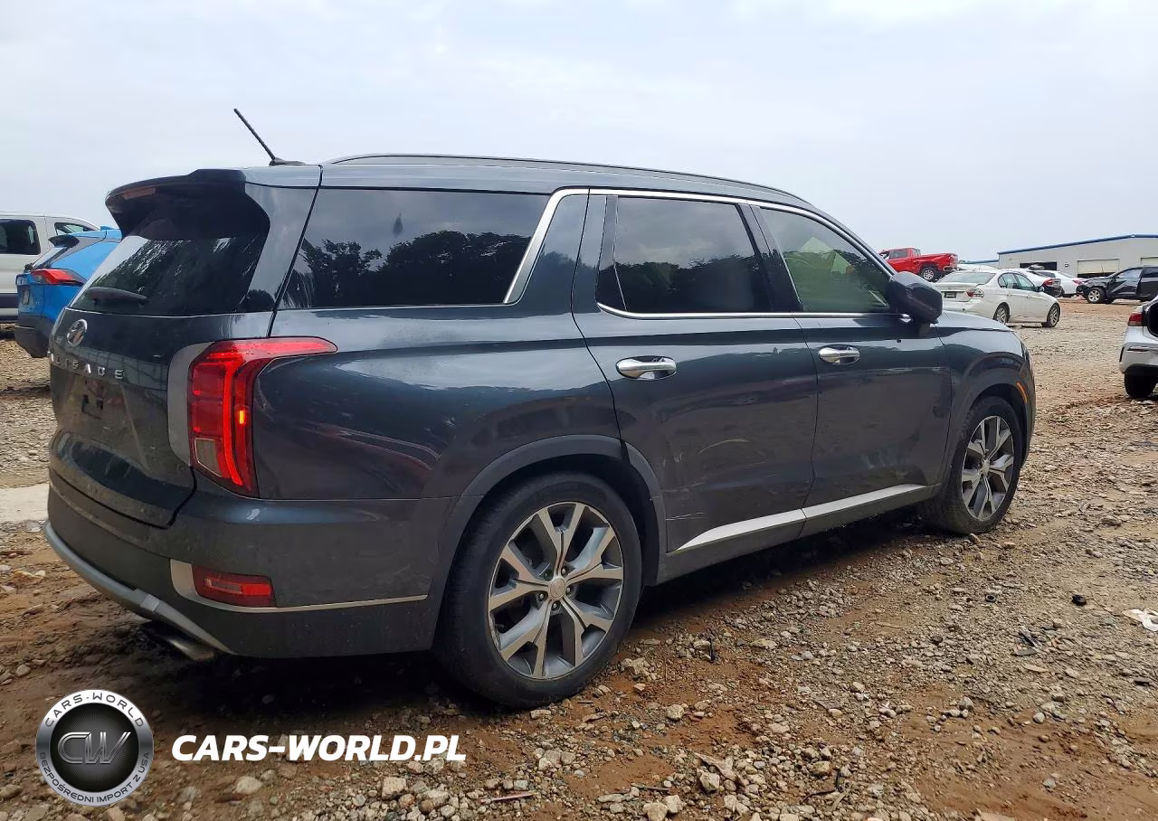 2020 Hyundai Palisade Sel VIN:KM8R44HE8LU062998 - 3