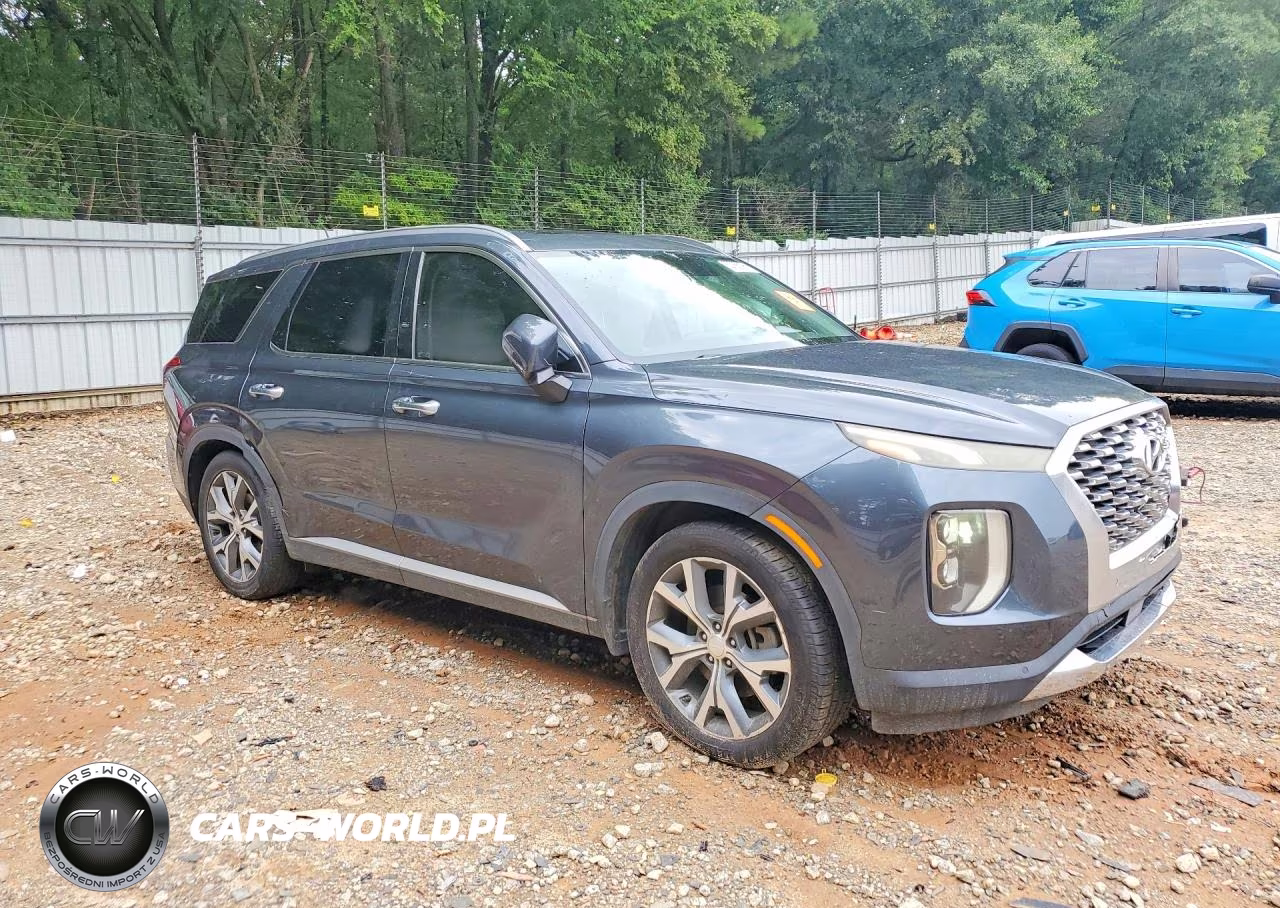 2020 Hyundai Palisade Sel VIN:KM8R44HE8LU062998 - 4