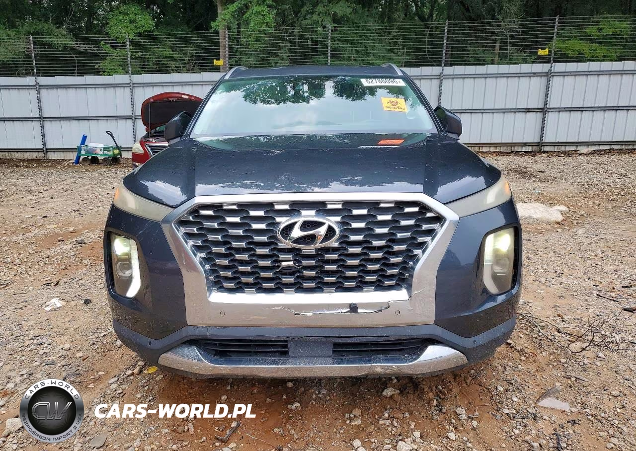 2020 Hyundai Palisade Sel VIN:KM8R44HE8LU062998 - 5