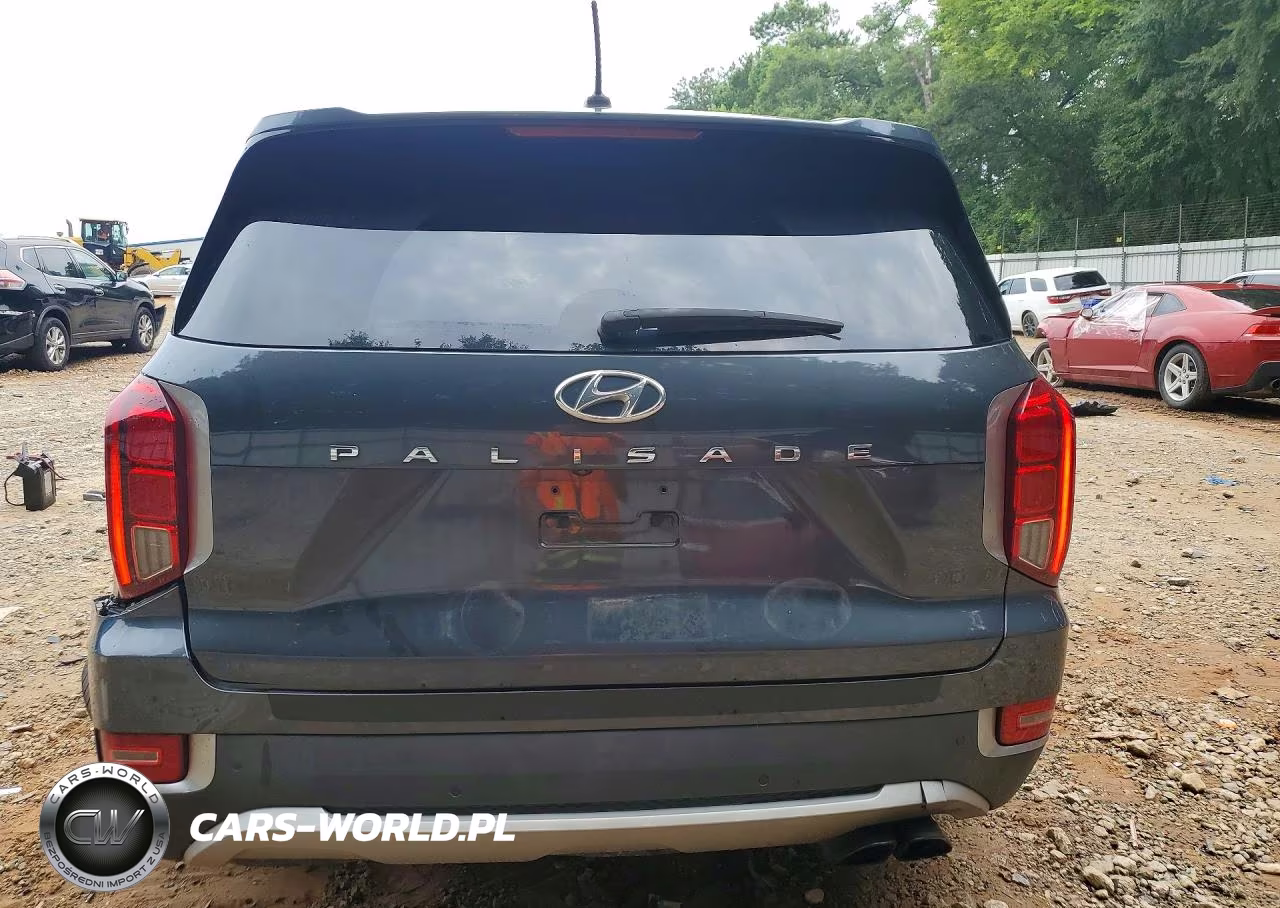 2020 Hyundai Palisade Sel VIN:KM8R44HE8LU062998 - 6