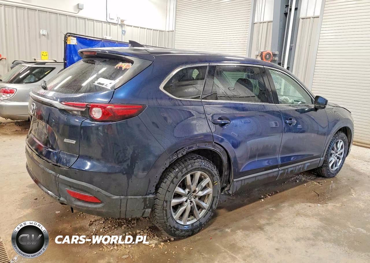 2019 Mazda Cx-9 Touring VIN:JM3TCBCY8K0328584 - 3