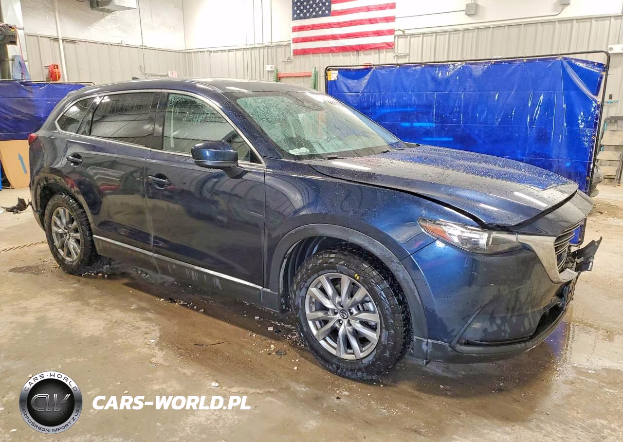 2019 Mazda Cx-9 Touring VIN:JM3TCBCY8K0328584 - 4