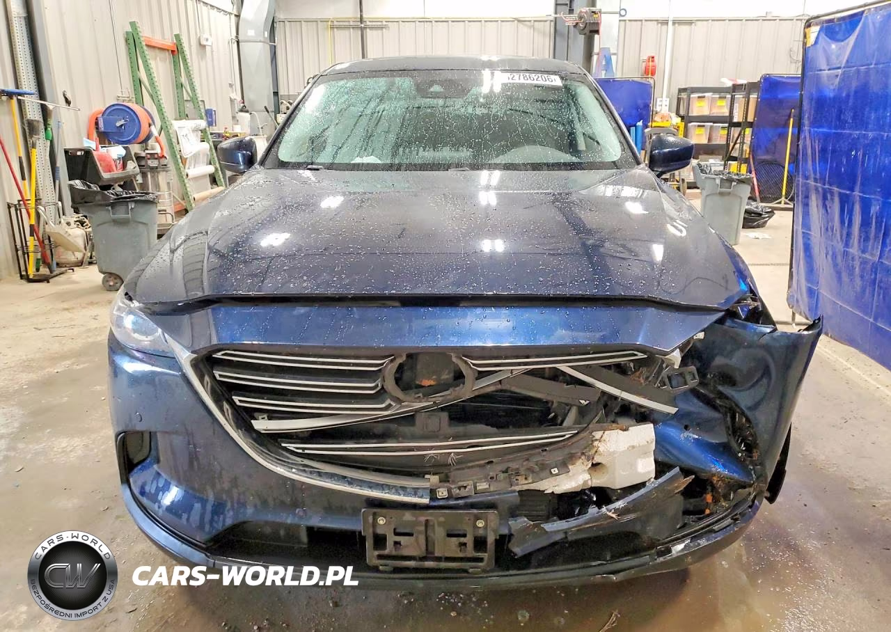 2019 Mazda Cx-9 Touring VIN:JM3TCBCY8K0328584 - 5