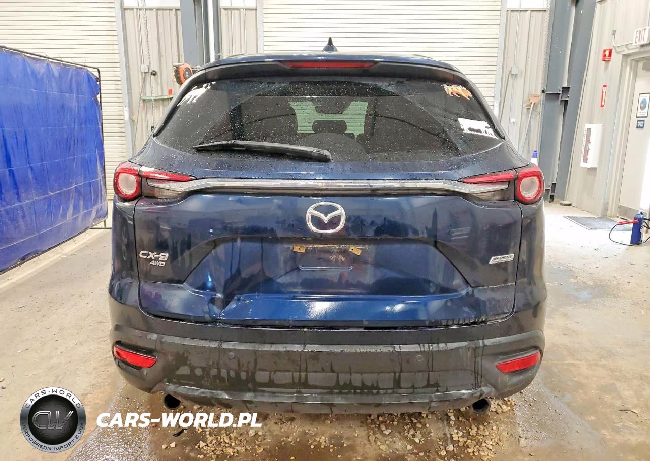 2019 Mazda Cx-9 Touring VIN:JM3TCBCY8K0328584 - 6