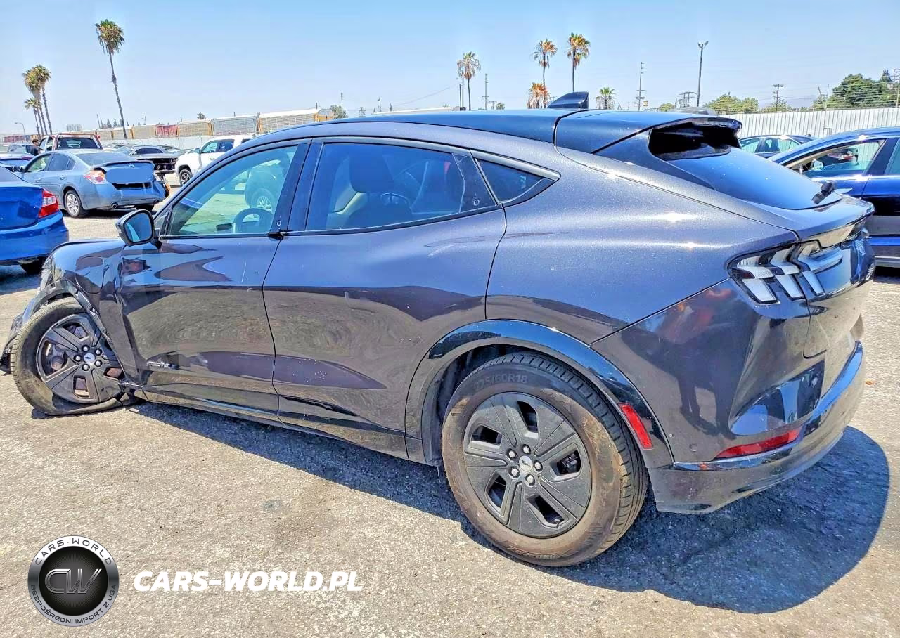 2021 Ford Mustang Mach-E California Route 1 VIN:3FMTK2R77MMA43431 - 2