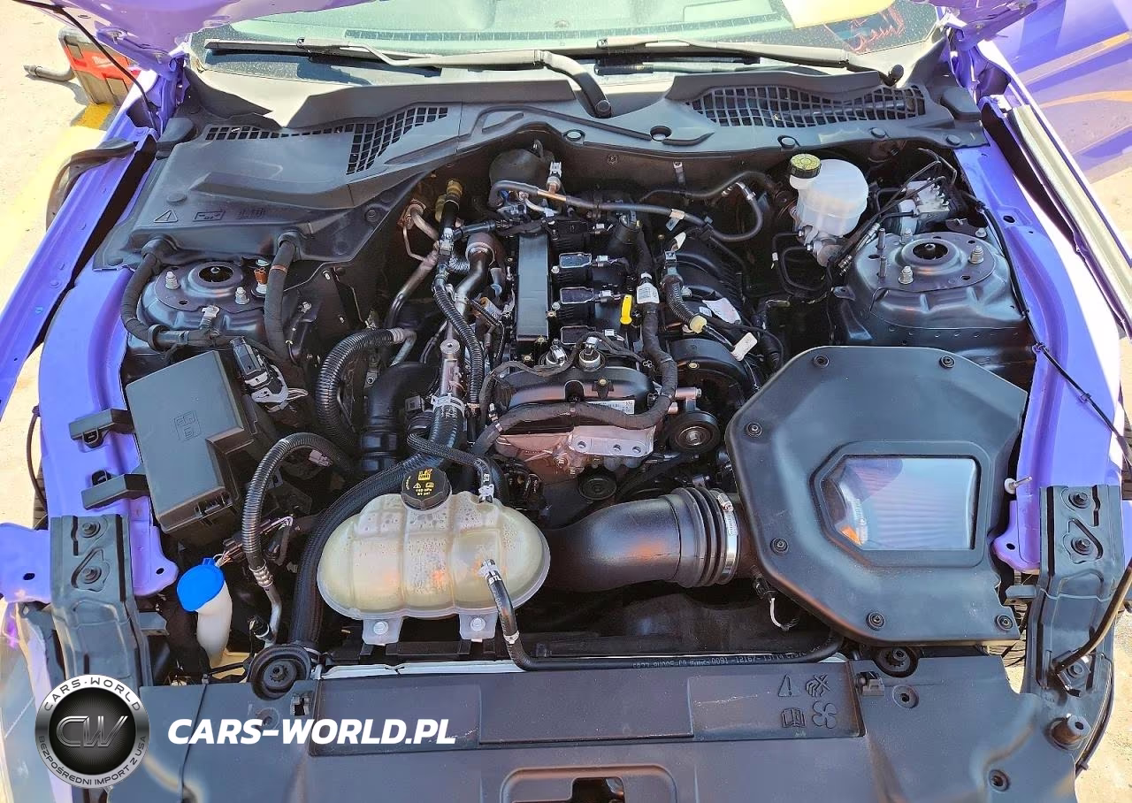 2021 Ford Mustang VIN:1FA6P8THXM5102927 - 11