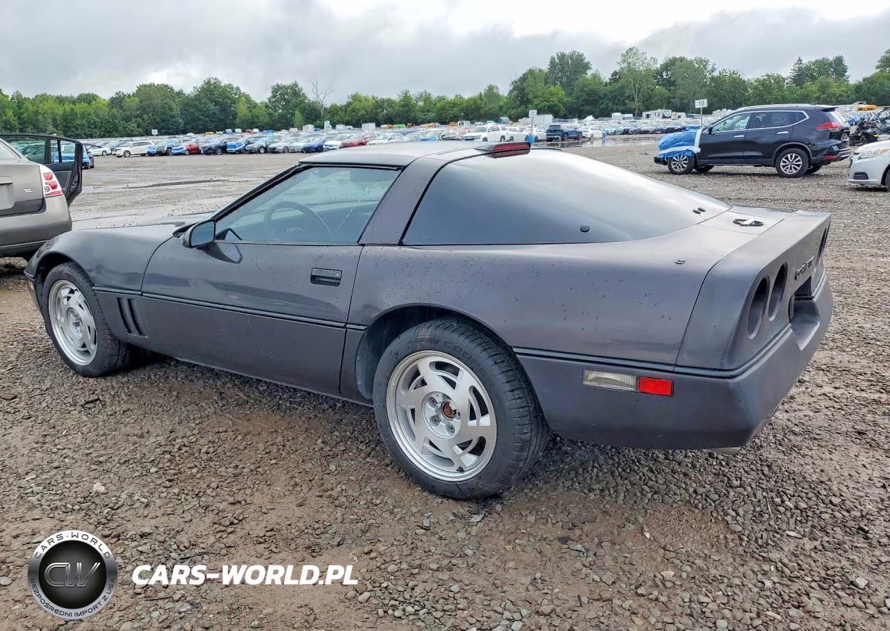 1989 Chevrolet Corvette VIN:1G1YY2185K5100539 - 2