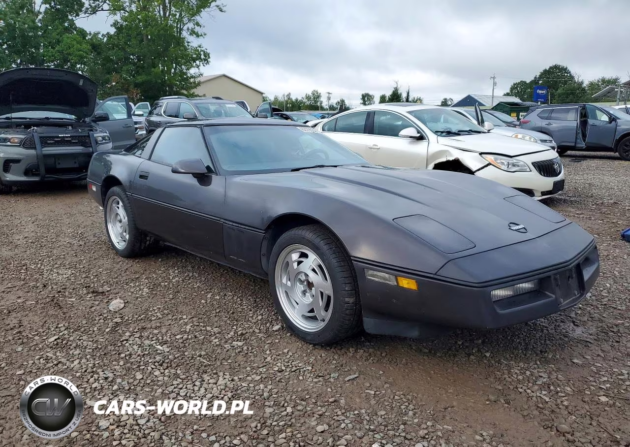 1989 Chevrolet Corvette VIN:1G1YY2185K5100539 - 4