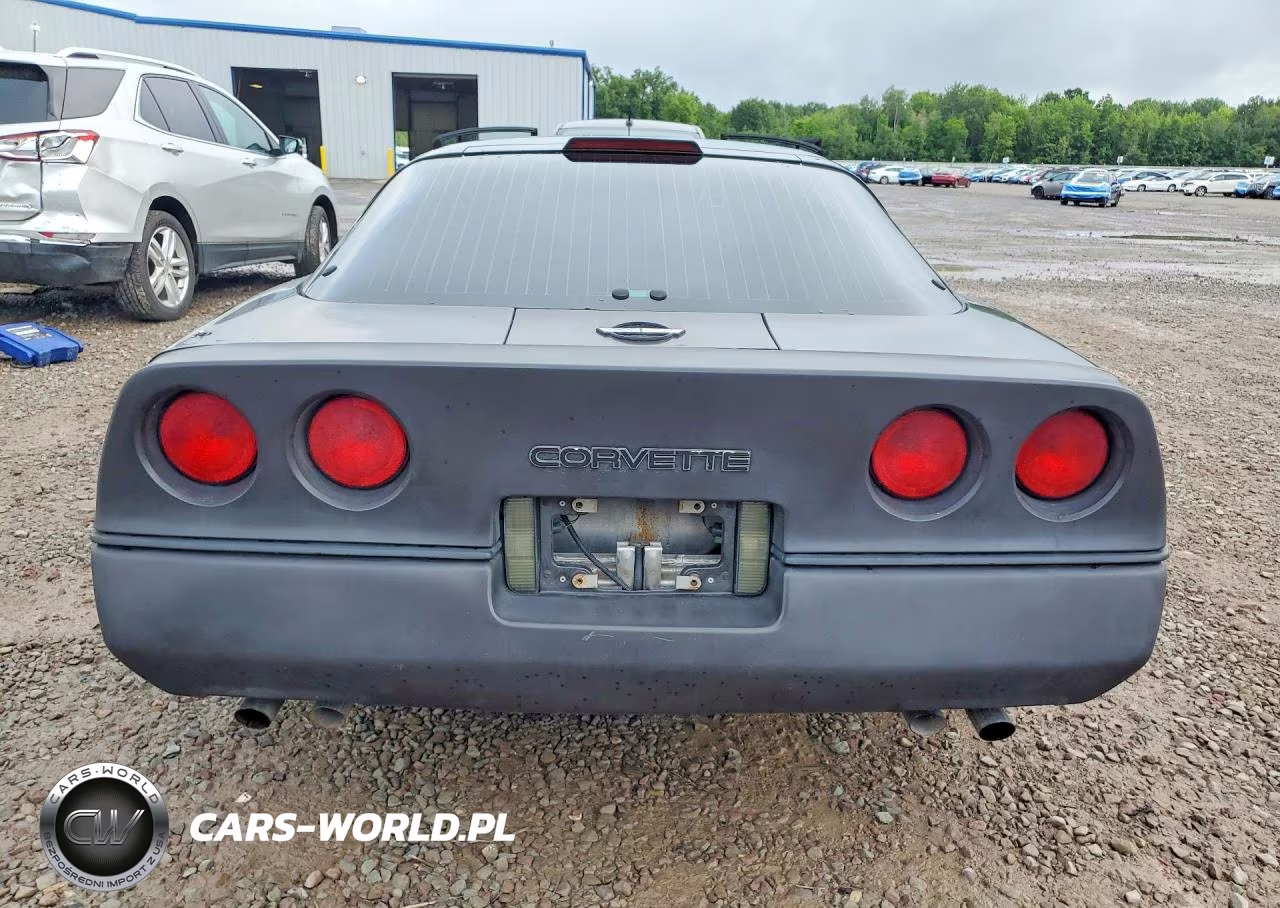 1989 Chevrolet Corvette VIN:1G1YY2185K5100539 - 6