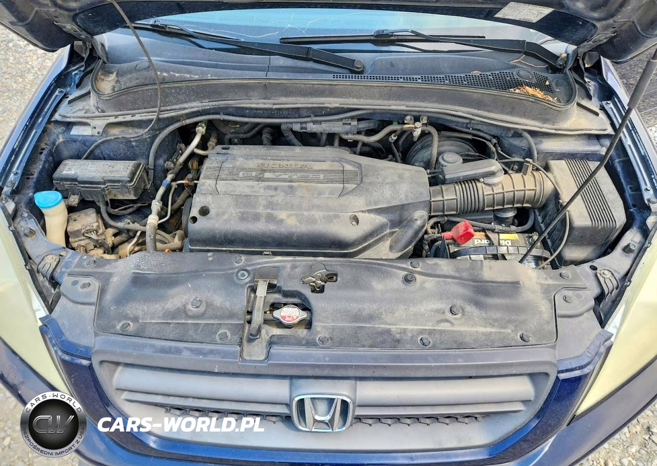 2004 Honda Pilot Exl VIN:2HKYF18654H518954 - 12