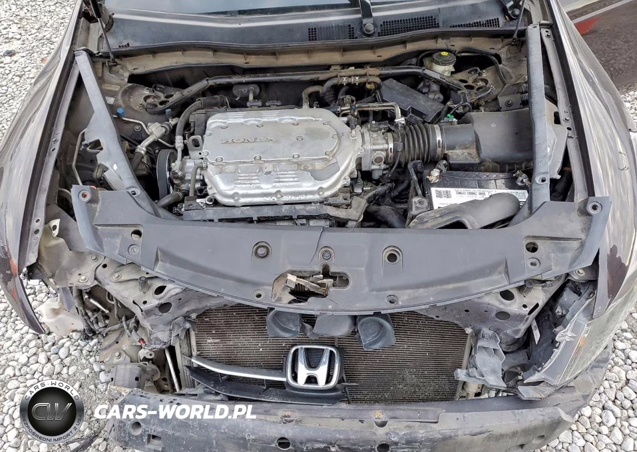 2011 Honda Accord Exl VIN:1HGCP3F83BA004159 - 11