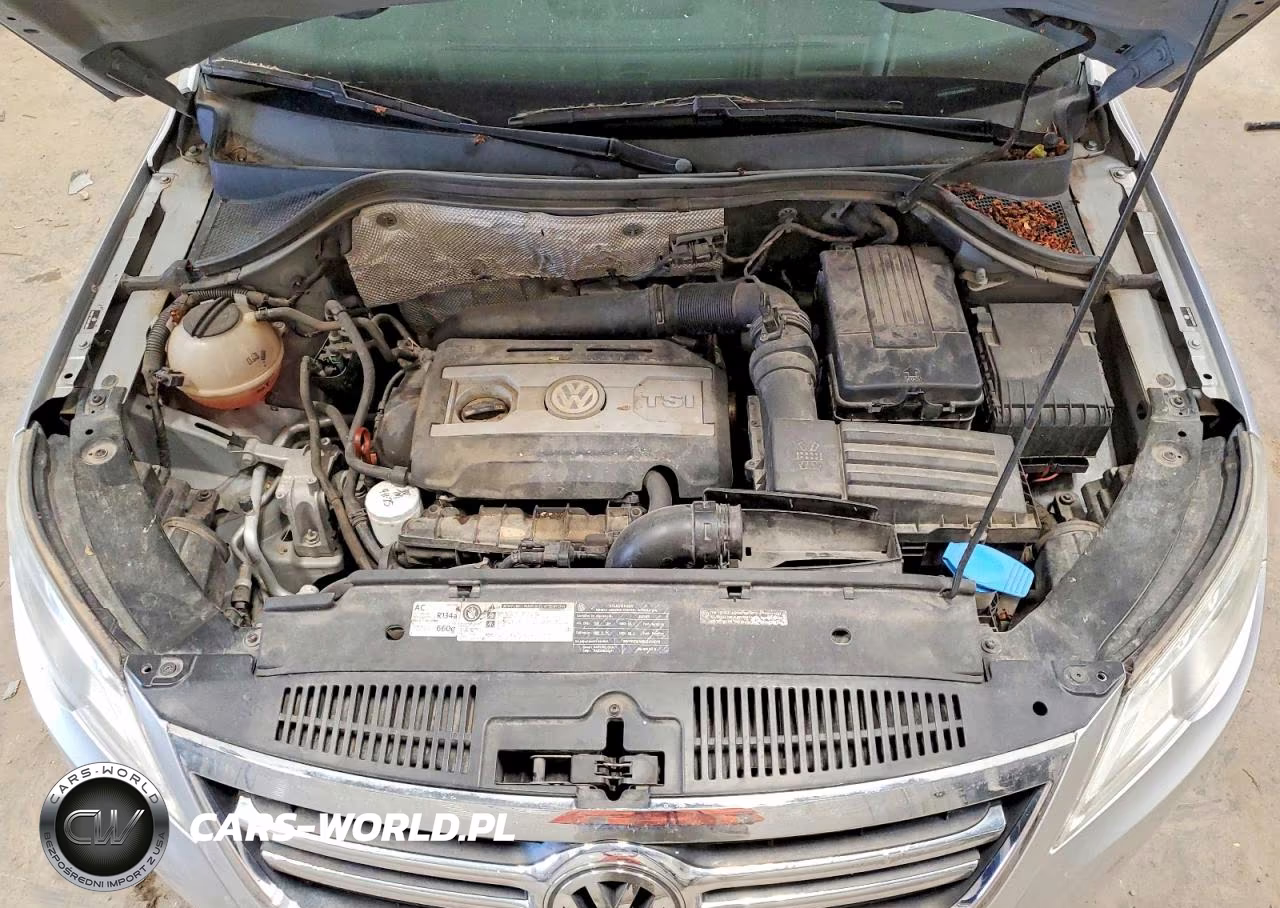 2011 Volkswagen Tiguan S VIN:WVGBV7AX2BW539293 - 12