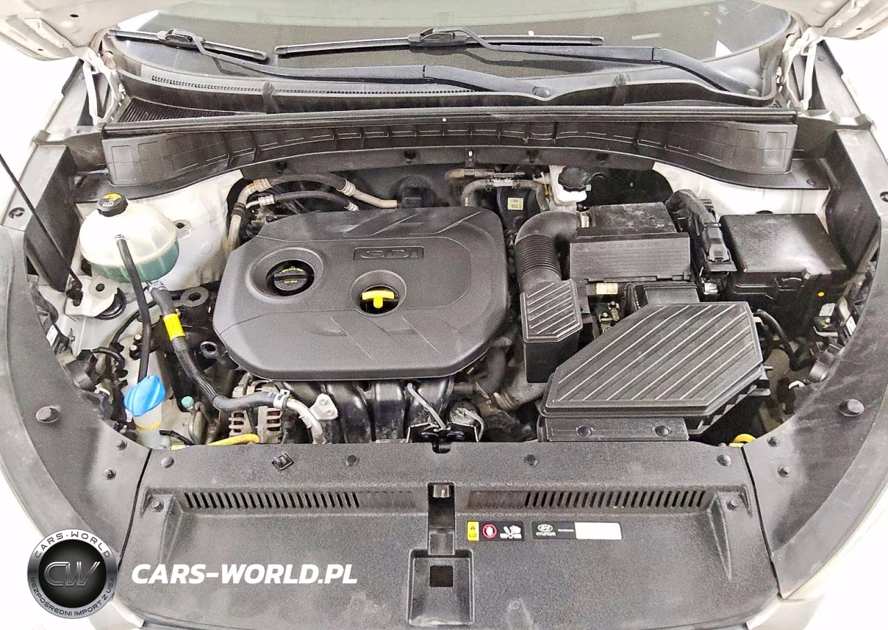 2018 Hyundai Tucson Sel Plus VIN:KM8J33A40JU612266 - 12