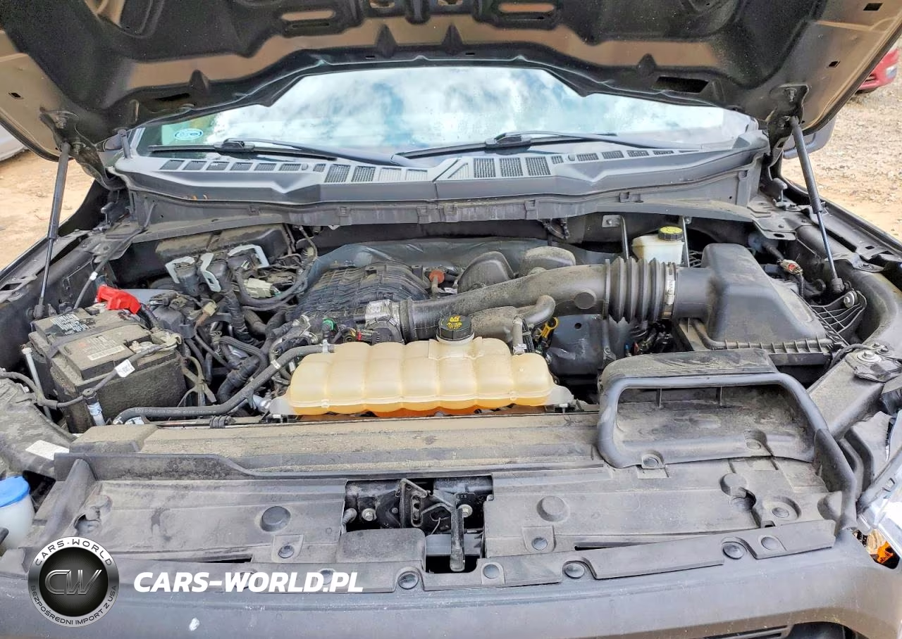 2021 Ford F150 VIN:1FTMF1CB1MKF08975 - 11