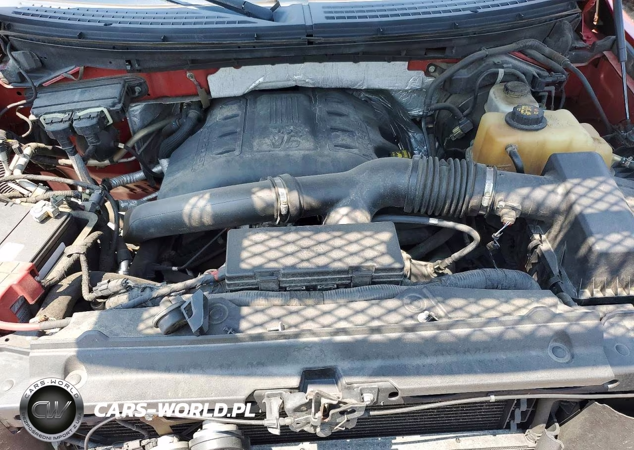 2011 Ford F150 Supercrew VIN:1FTFW1ET3BFA91606 - 11