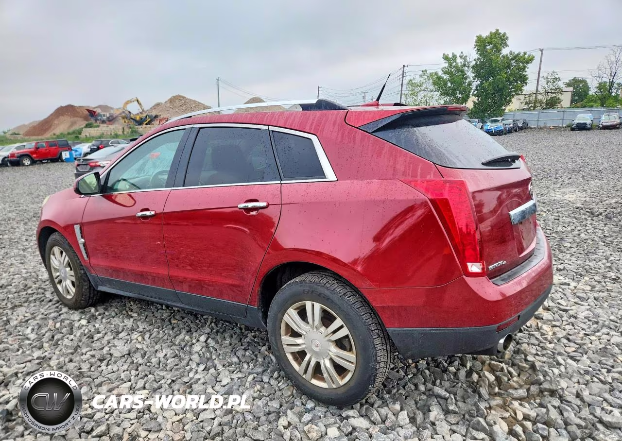 2010 Cadillac Srx Luxury Collection VIN:3GYFNDEYXAS613989 - 2