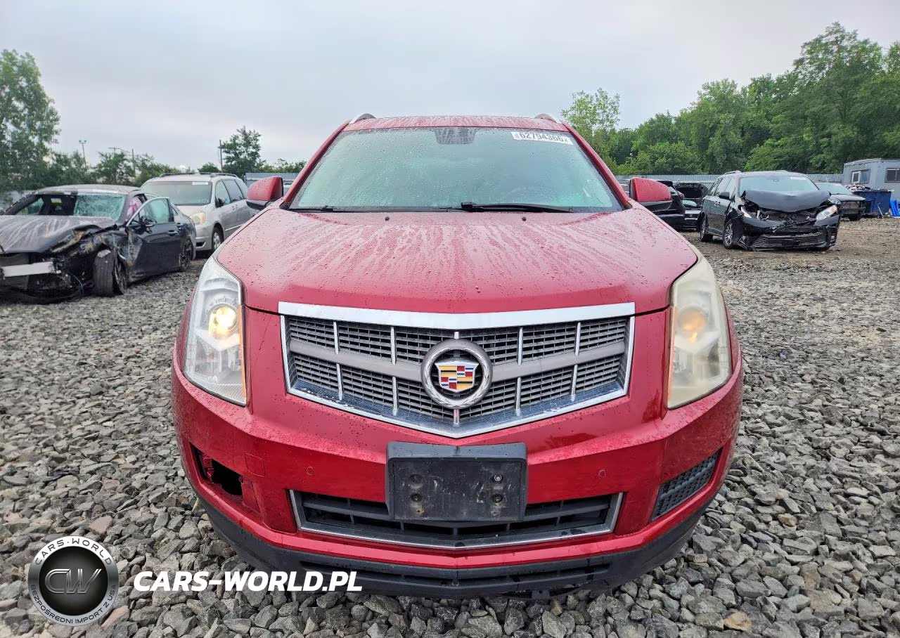 2010 Cadillac Srx Luxury Collection VIN:3GYFNDEYXAS613989 - 5