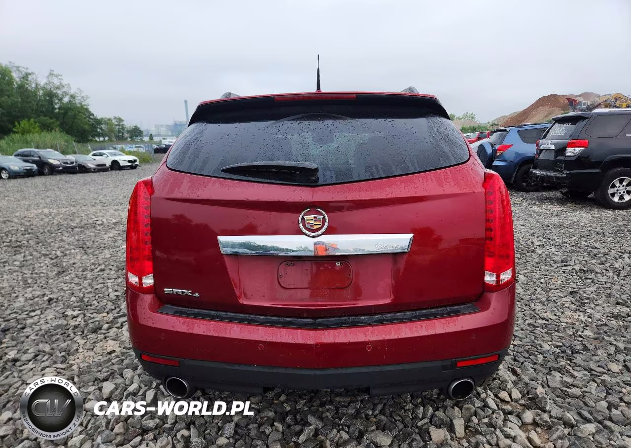 2010 Cadillac Srx Luxury Collection VIN:3GYFNDEYXAS613989 - 6