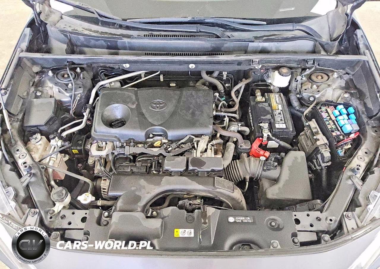 2019 Toyota Rav4 Xle VIN:2T3W1RFV2KW001308 - 12