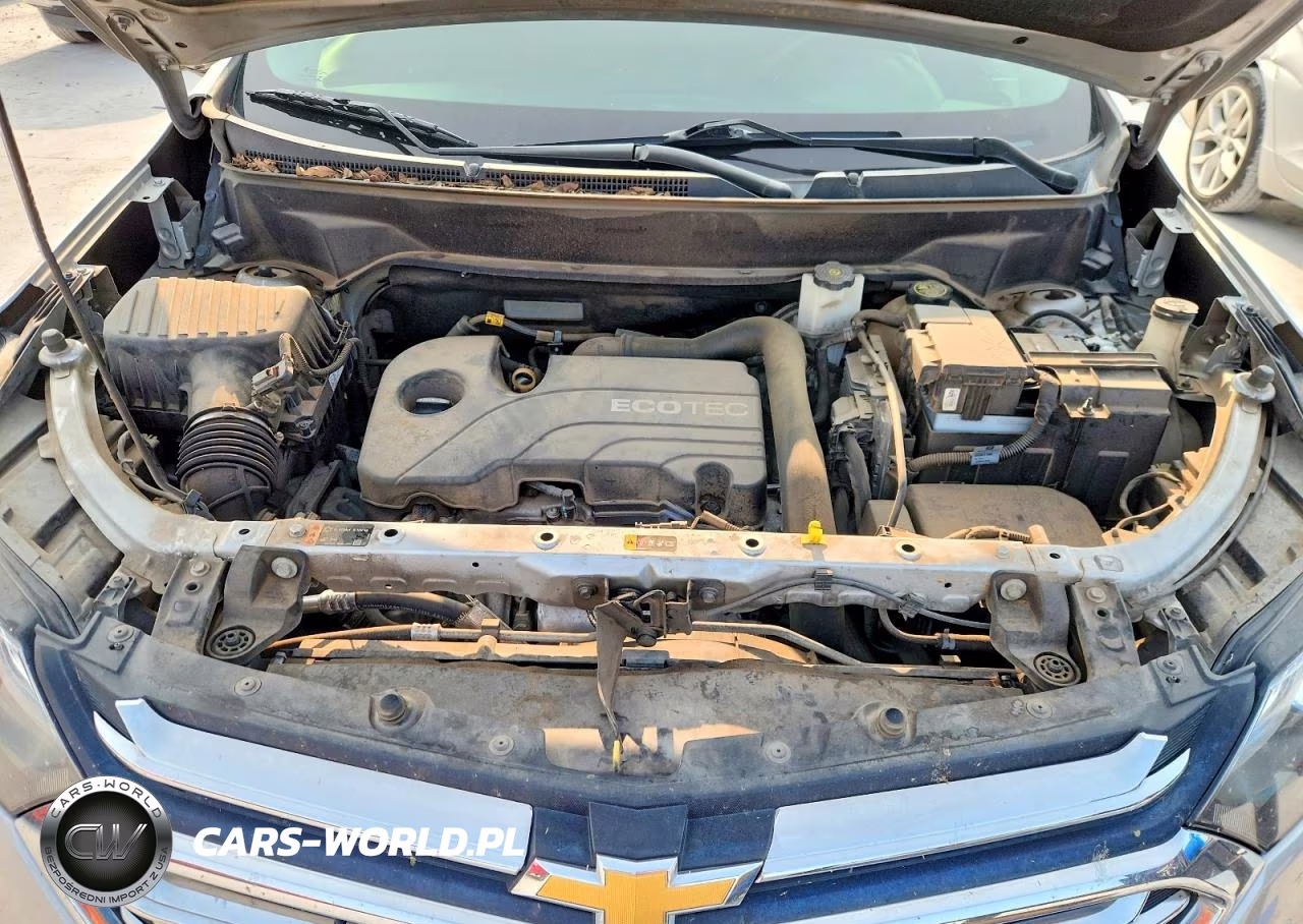 2019 Chevrolet Equinox Lt VIN:2GNAXUEV4K6276632 - 12
