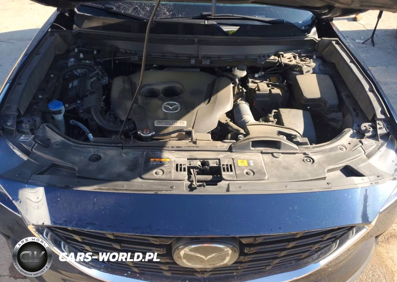 2023 Mazda Cx-9 Touring Plus VIN:JM3TCBAY0P0651764 - 12
