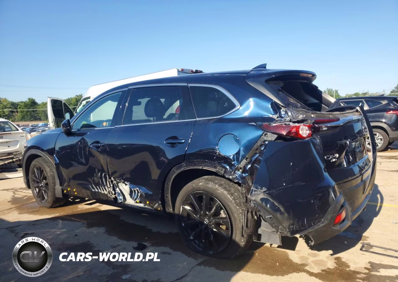 2023 Mazda Cx-9 Touring Plus VIN:JM3TCBAY0P0651764 - 2