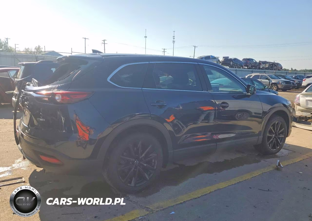 2023 Mazda Cx-9 Touring Plus VIN:JM3TCBAY0P0651764 - 3
