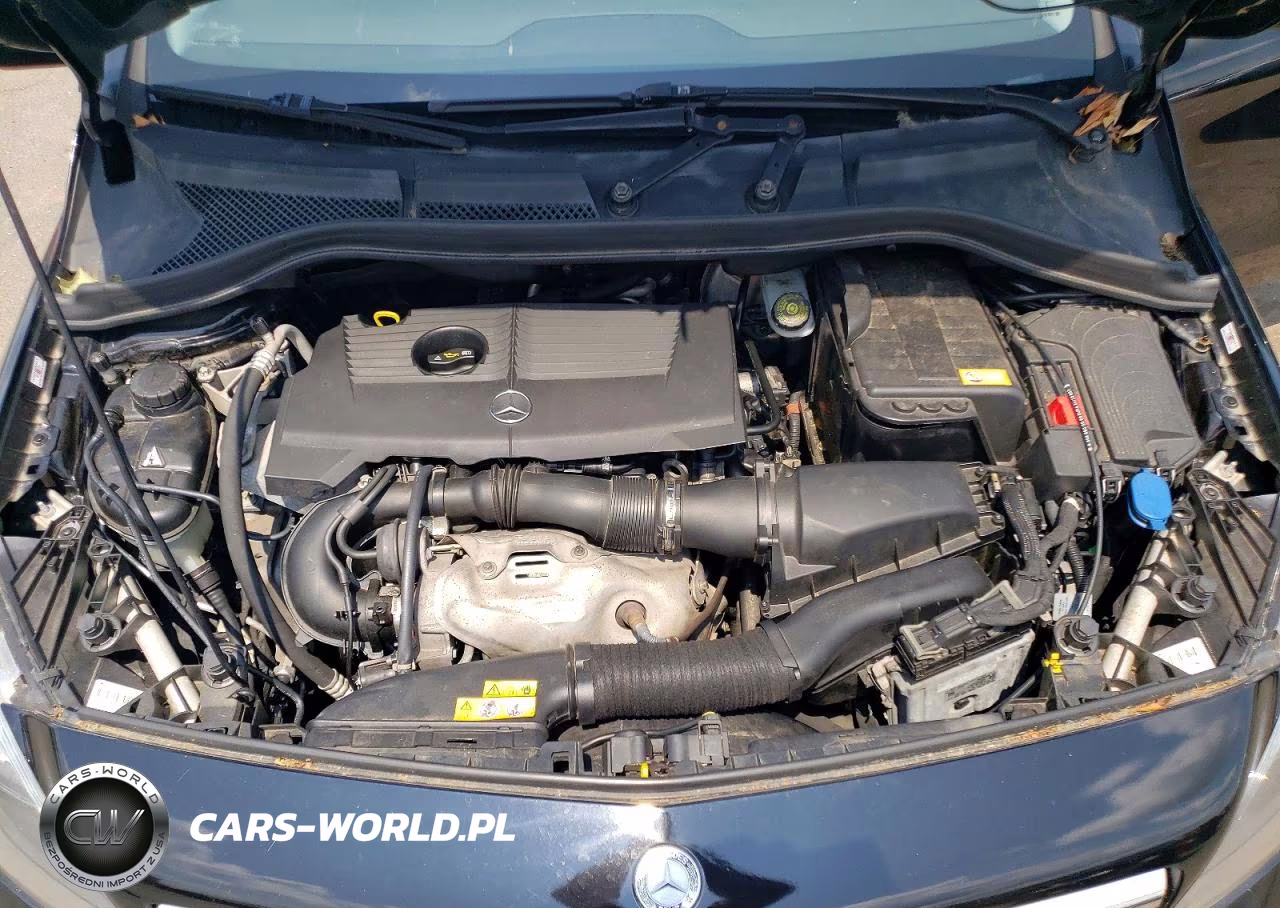 2014 Mercedes-Benz B250 VIN:WDDMH4EB8EJ187989 - 11