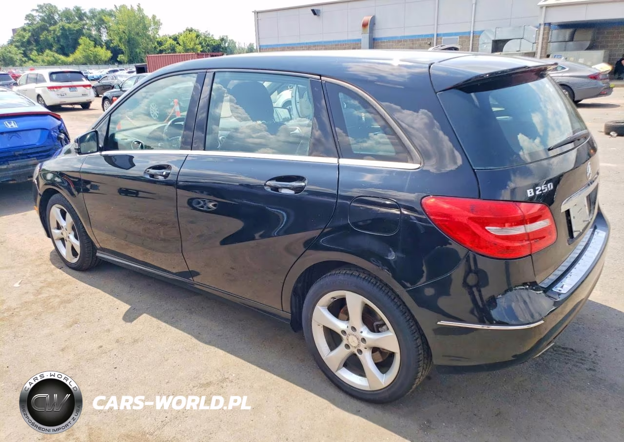 2014 Mercedes-Benz B250 VIN:WDDMH4EB8EJ187989 - 2