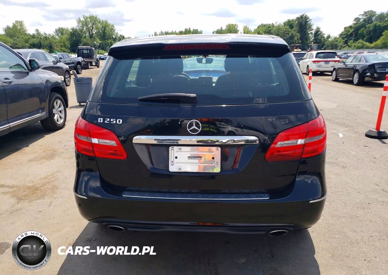 2014 Mercedes-Benz B250 VIN:WDDMH4EB8EJ187989 - 6