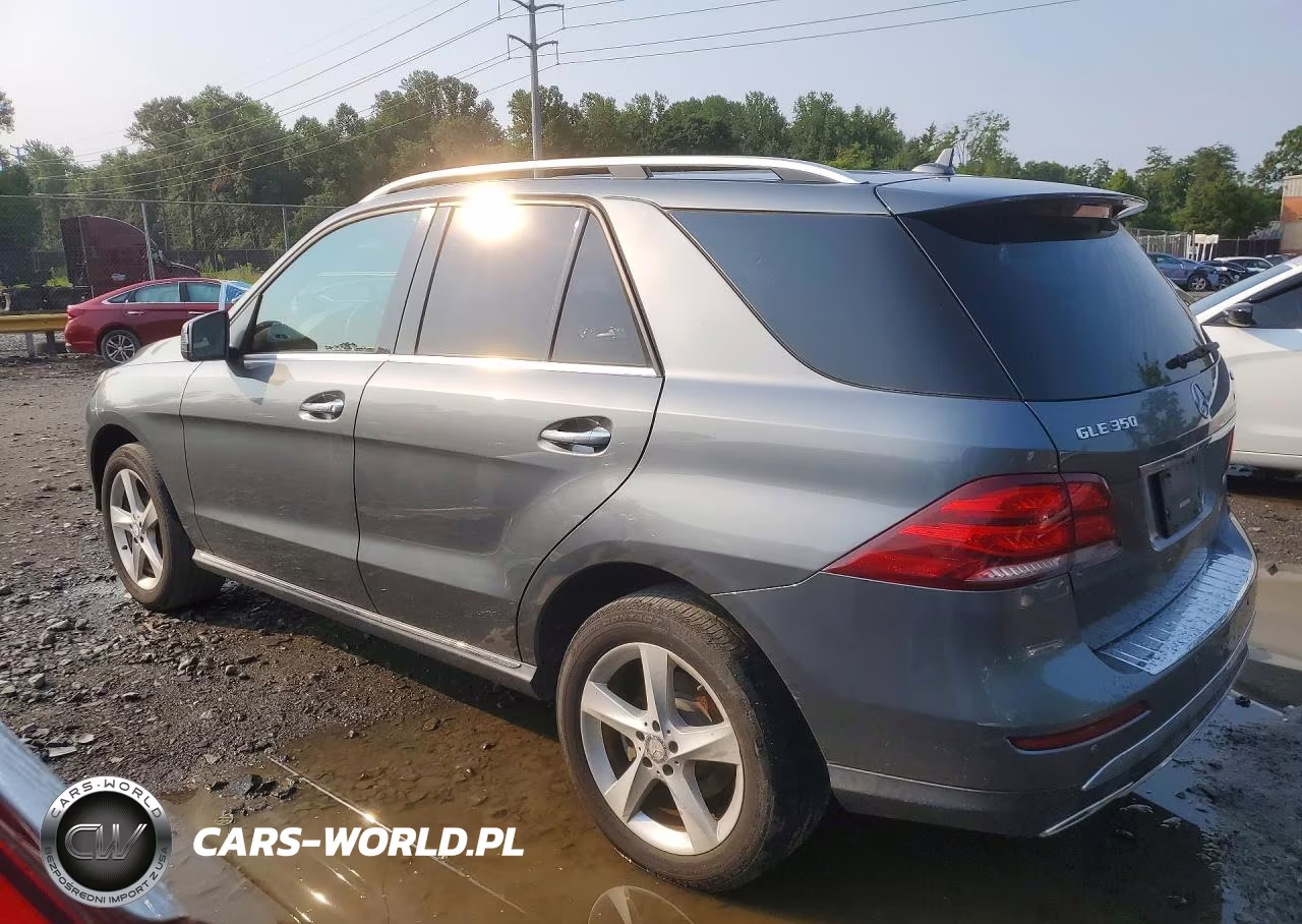 2017 Mercedes-Benz Gle 350 4Matic VIN:4JGDA5HB5HA823980 - 2
