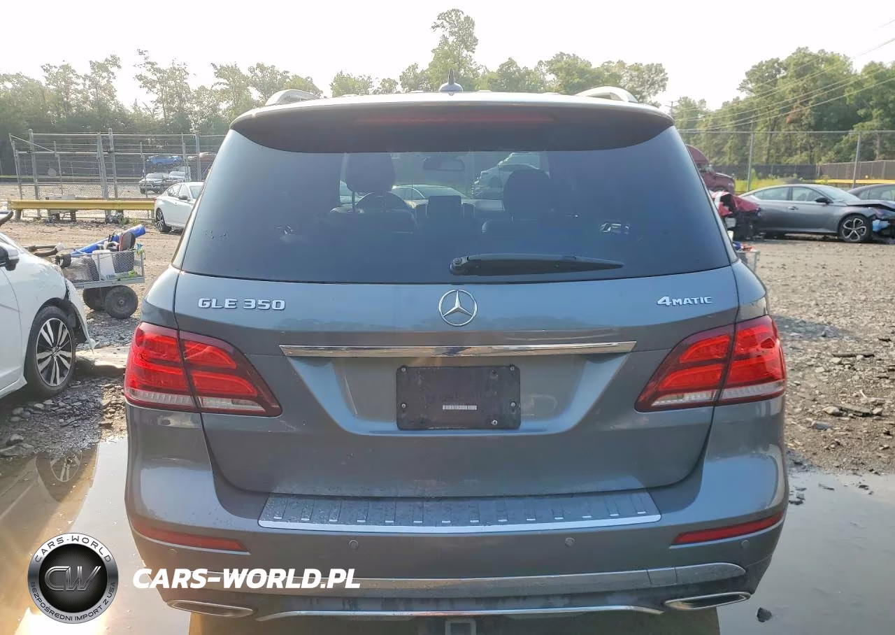 2017 Mercedes-Benz Gle 350 4Matic VIN:4JGDA5HB5HA823980 - 6