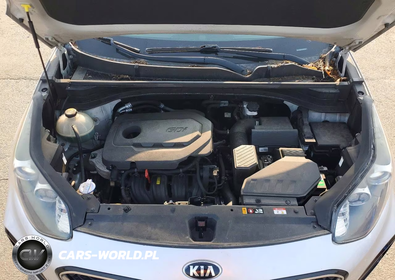 2020 Kia Sportage Lx VIN:KNDPMCAC8L7671991 - 12