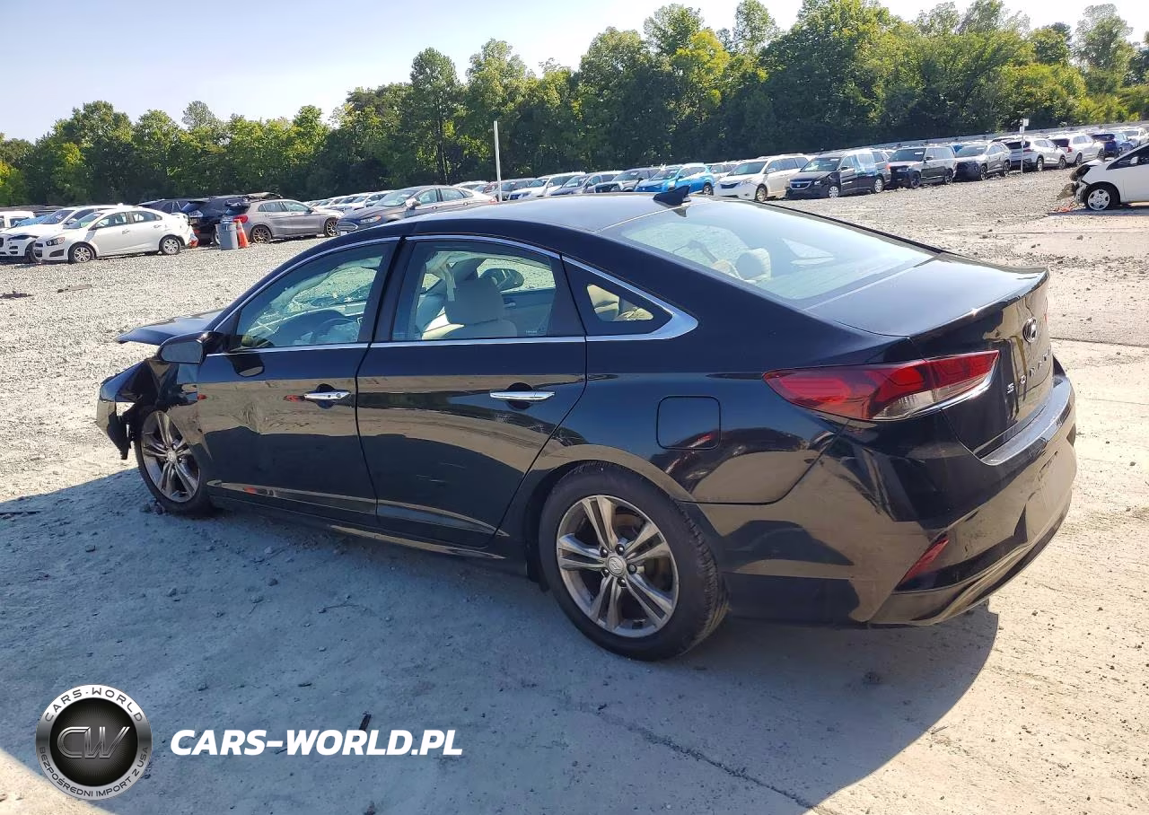 2019 Hyundai Sonata Sel VIN:5NPE34AF0KH785469 - 2