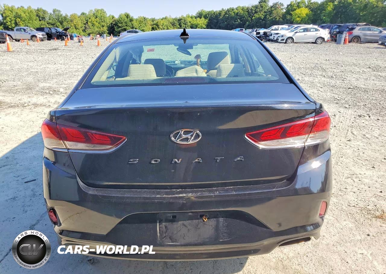 2019 Hyundai Sonata Sel VIN:5NPE34AF0KH785469 - 6