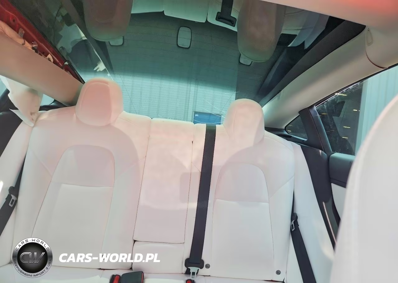 2021 Tesla Model 3 VIN:5YJ3E1EB5MF902844 - 10