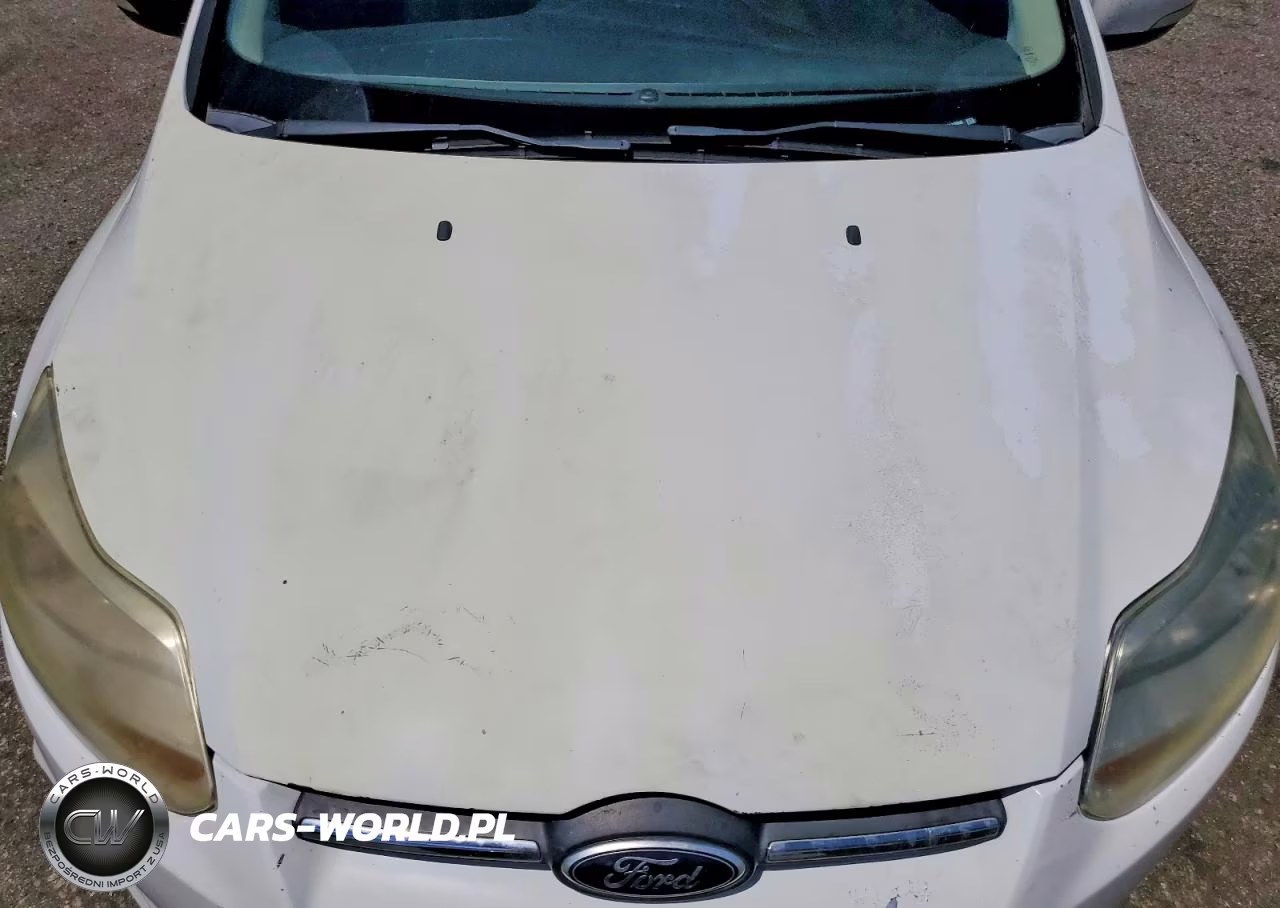 2014 Ford Focus Se VIN:1FADP3F27EL110840 - 11