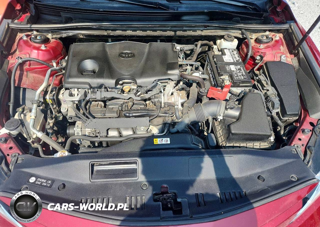 2019 Toyota Camry Le VIN:4T1B11HK6KU756585 - 11