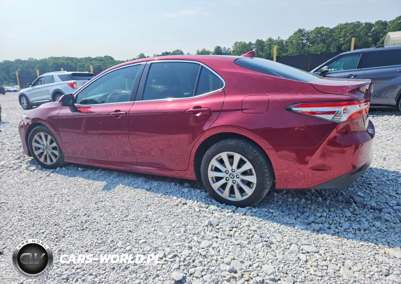 2019 Toyota Camry Le VIN:4T1B11HK6KU756585 - 2